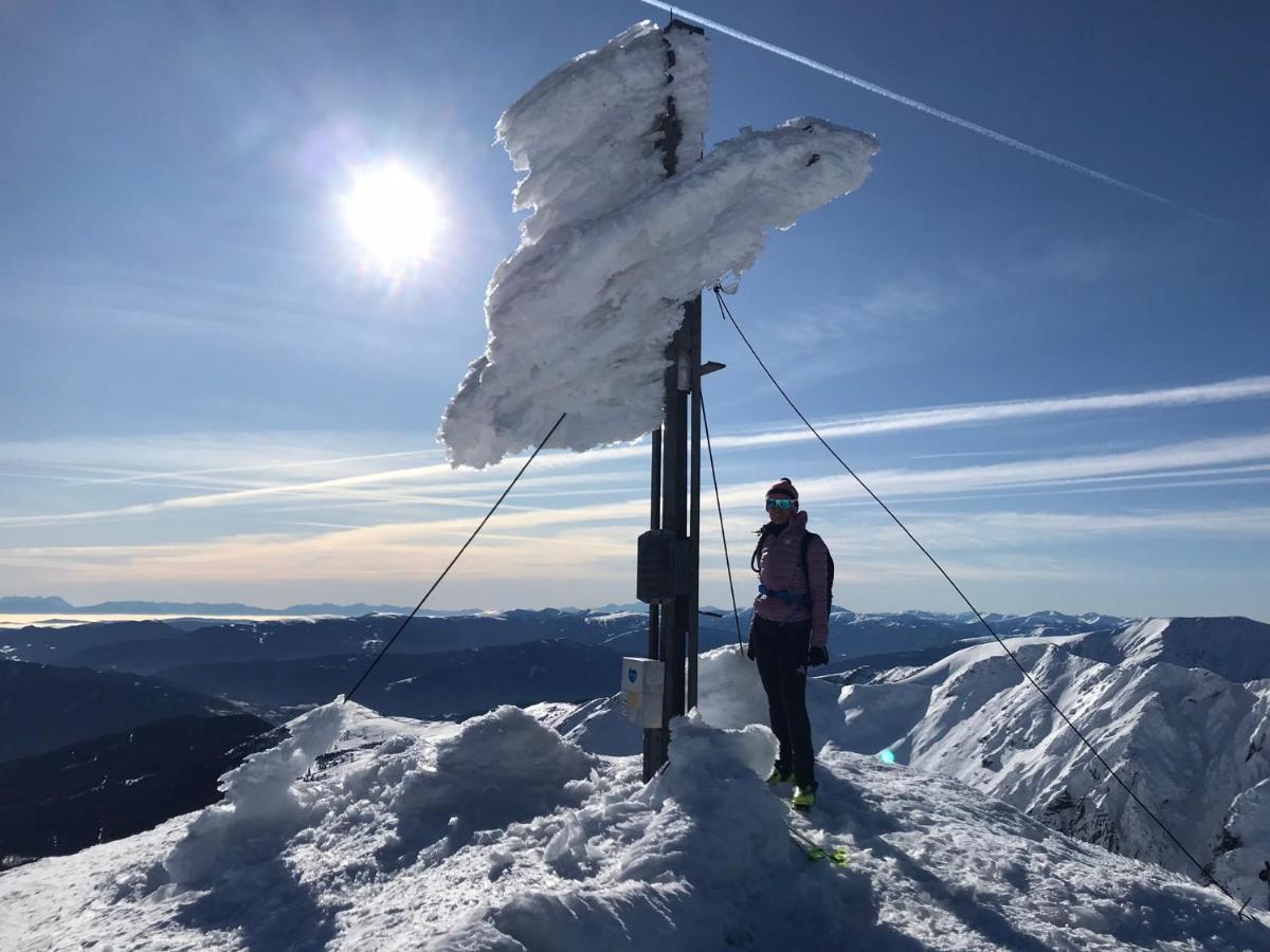 Appartements Wieseneck - Ramsau Am Dachstein - Inklusive Sommercard ! ภายนอก รูปภาพ