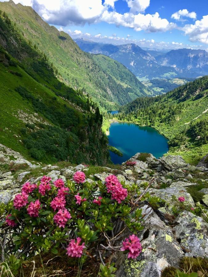 Appartements Wieseneck - Ramsau Am Dachstein - Inklusive Sommercard ! ภายนอก รูปภาพ